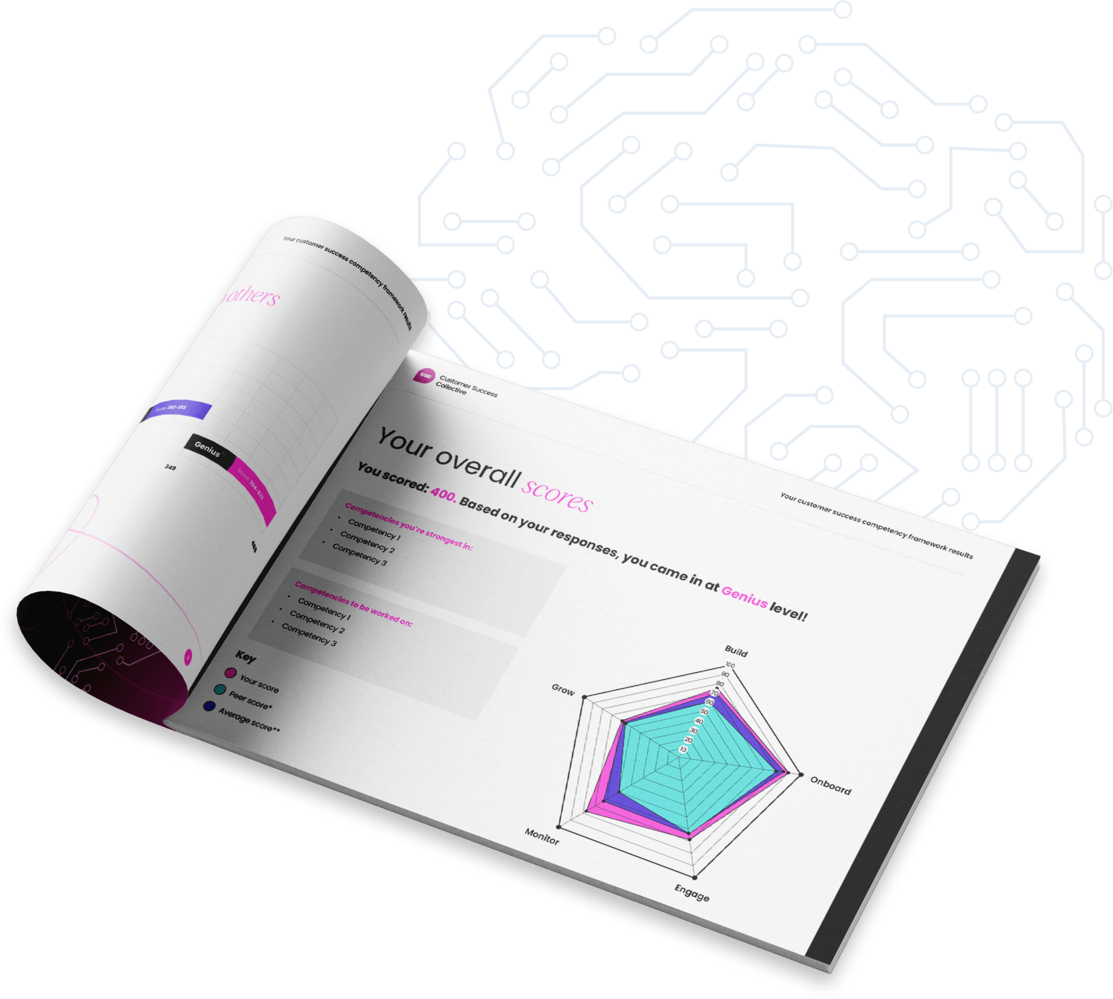 Competency Framework