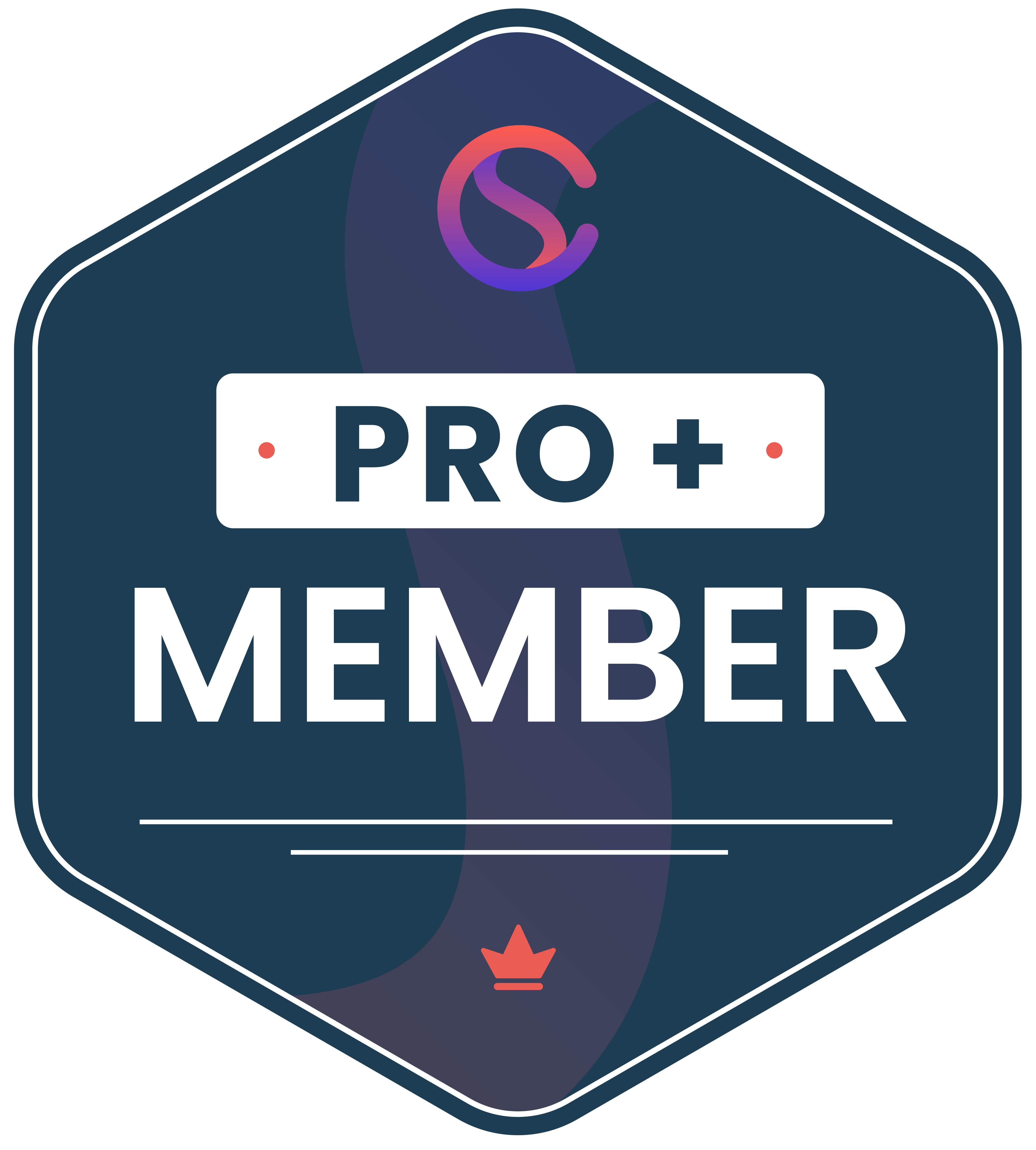 customer success collective pro plus membership