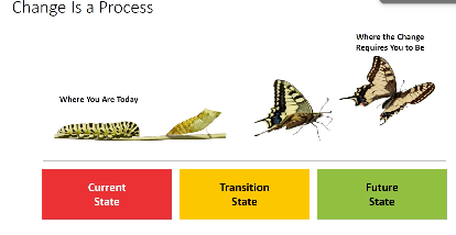 Change is a process: current state, to transition state, to future state