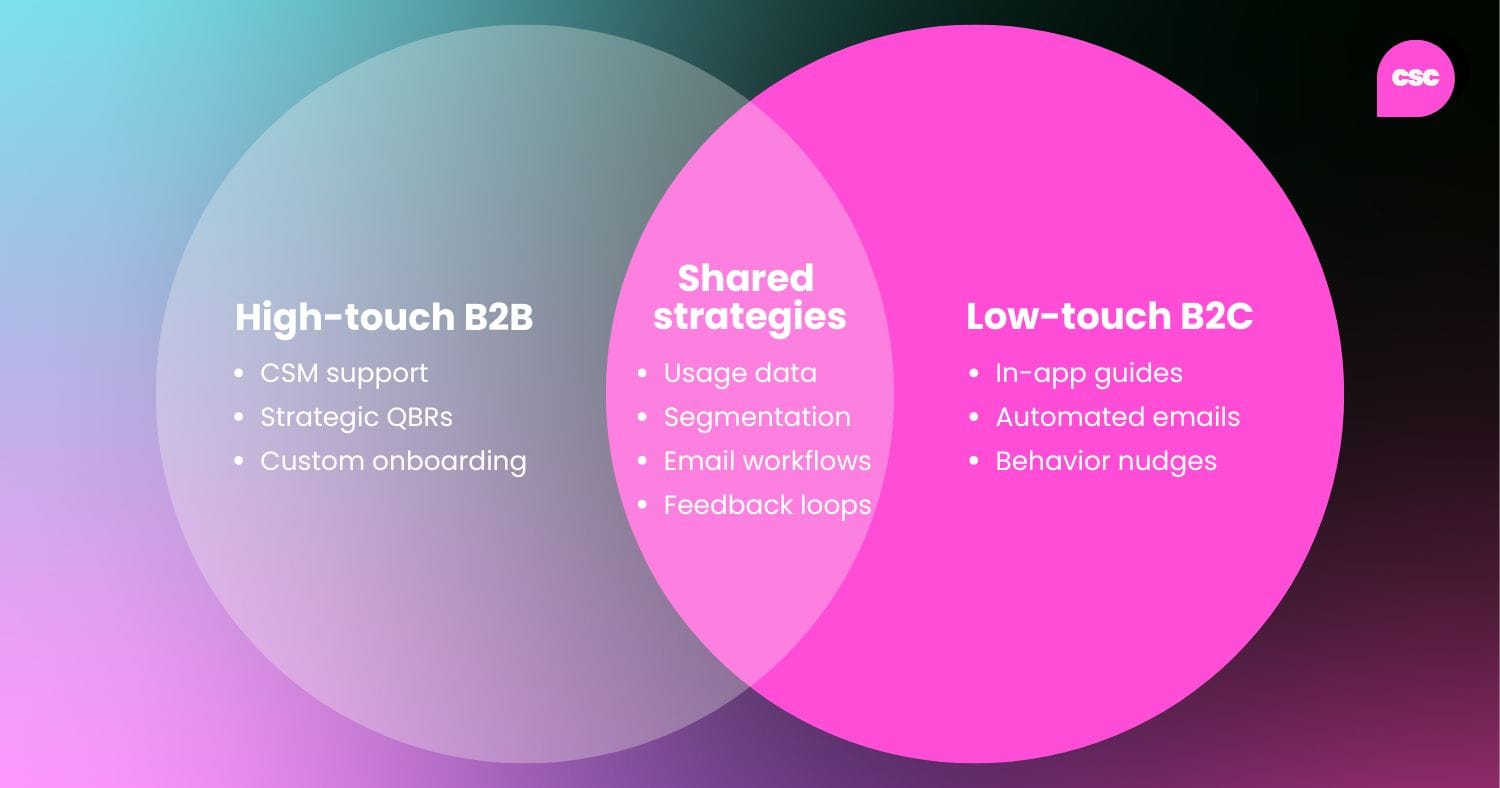 Venn diagram comparing high-touch B2B strategies and low-touch B2C tactics, with shared customer success strategies like usage analytics and segmentation in the overlap.