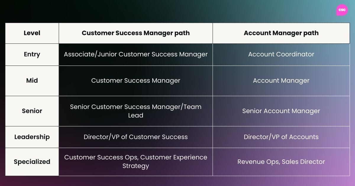 Level	CSM Path	AM Path	 Entry	Associate/Junior CSM	Account Coordinator	 Mid	CSM	Account Manager	Account Executive Senior	Senior CSM / Team Lead	Senior AM	 Leadership	Director/VP CS	Director/VP Accounts	 Specialized	CS Ops / CX Strategy	Revenue Ops / Sales Director
