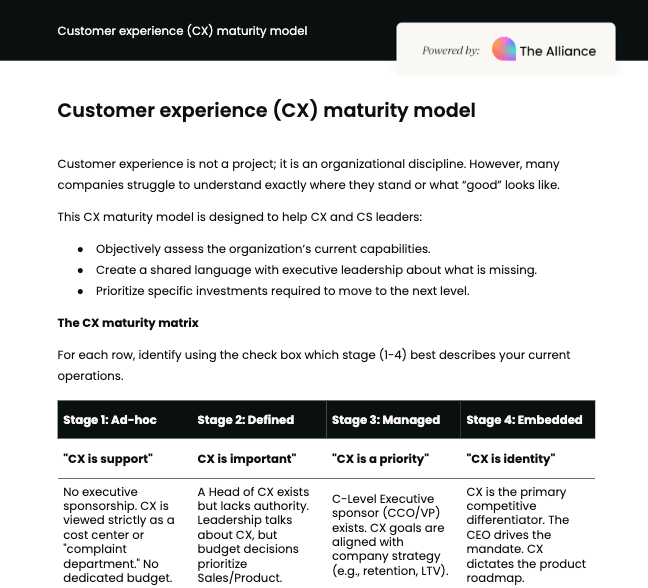 Customer experience maturity model