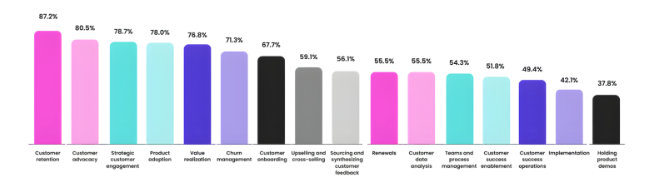 Customer success responsibilities in 2025