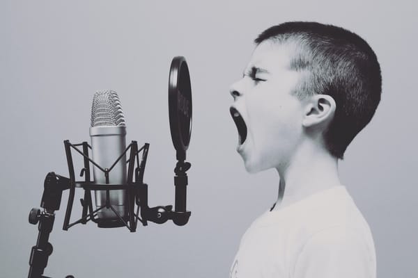 How to create an effective voice of the customer  (VOC) program