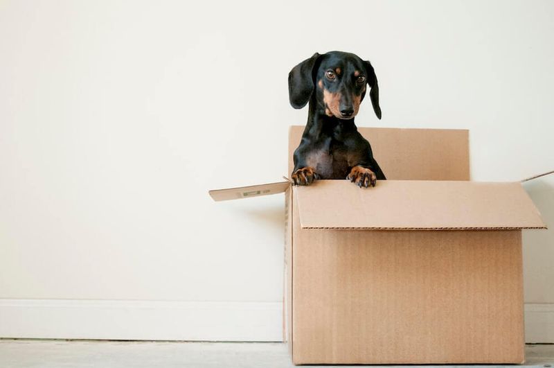 Think outside of the box: Utilizing outcomes-based thinking for customer success